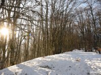 2026-03-14 Puzzillo e Morretano 021